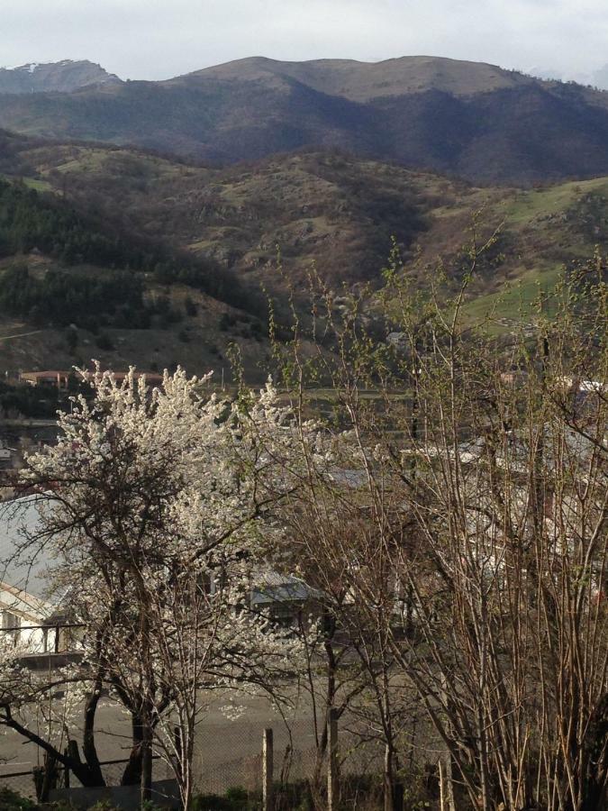 Family Hotel Dilijan Eksteriør billede