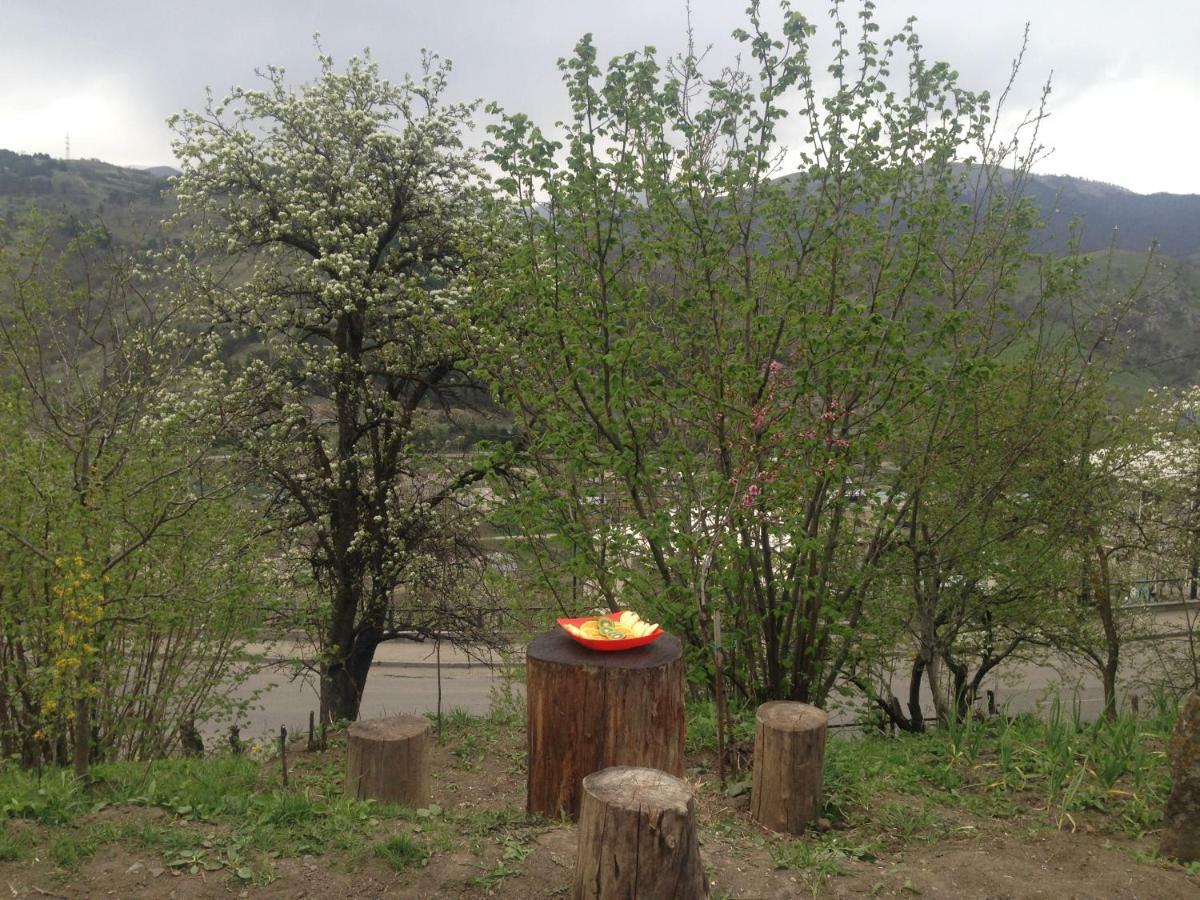 Family Hotel Dilijan Eksteriør billede